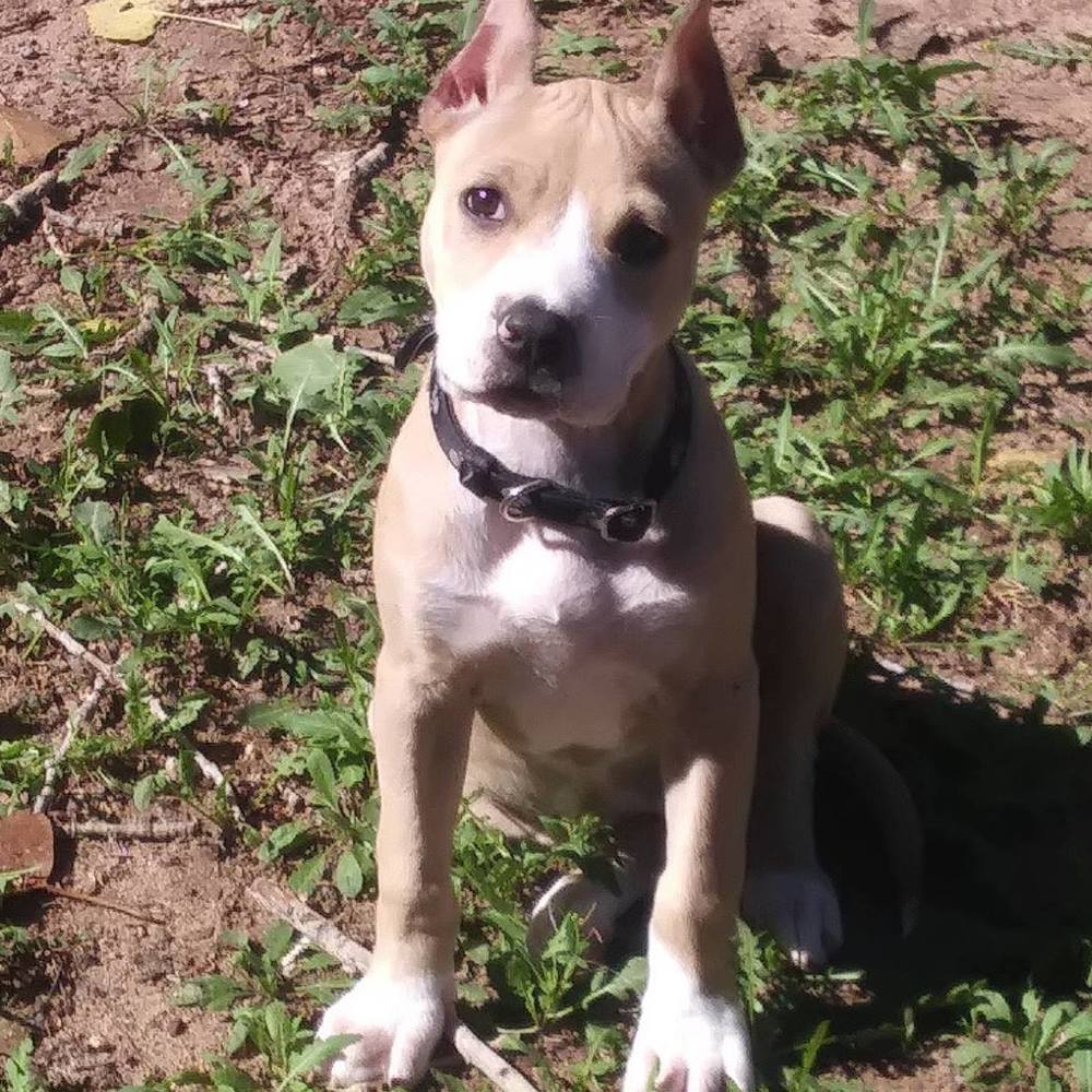 Meet your Posher, Tina